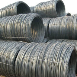 
										QIN PLUS DISTINGUISHED 2023 full									