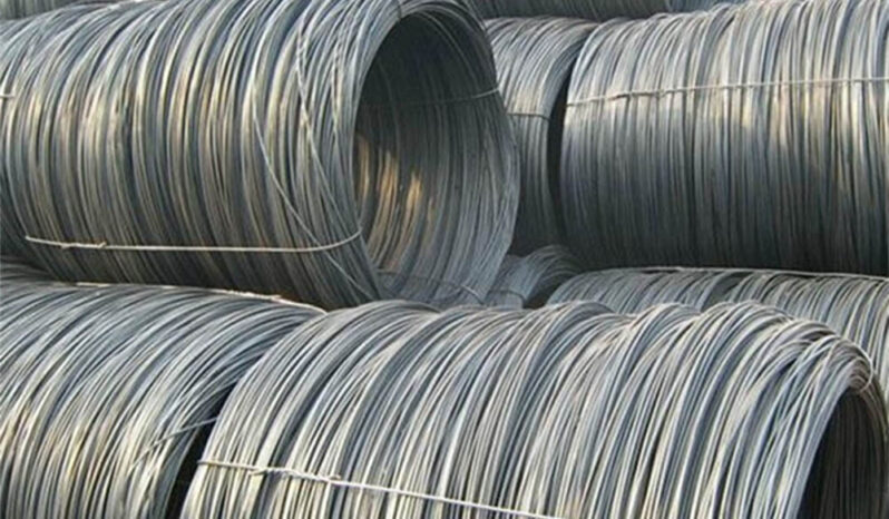 
								QIN PLUS DISTINGUISHED 2023 full									